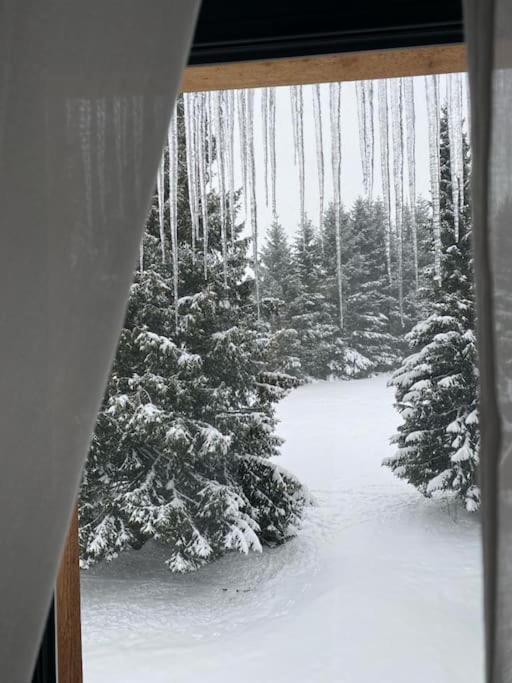 Appartement Utulny St Michael V Javorne Na Sumave Cachrov
